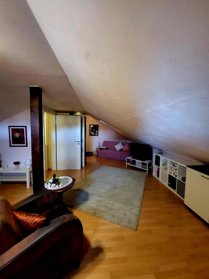 Ferienwohnung Theresa Bad Schonborn Luaran gambar